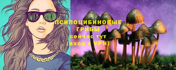 твердый Абаза