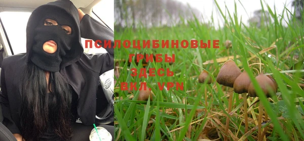 a pvp Абдулино