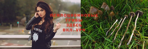 a pvp Абдулино