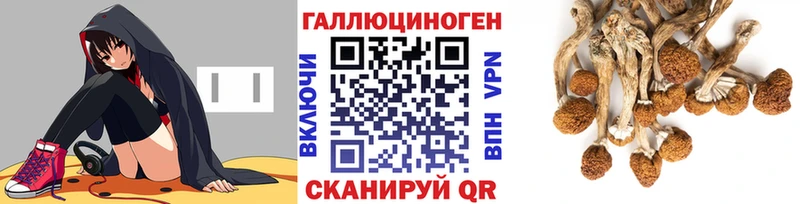 Псилоцибиновые грибы Psilocybine cubensis  наркота  Хабаровск 